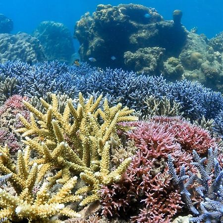 Hotel Alam Karang Gili Gede Exterior foto