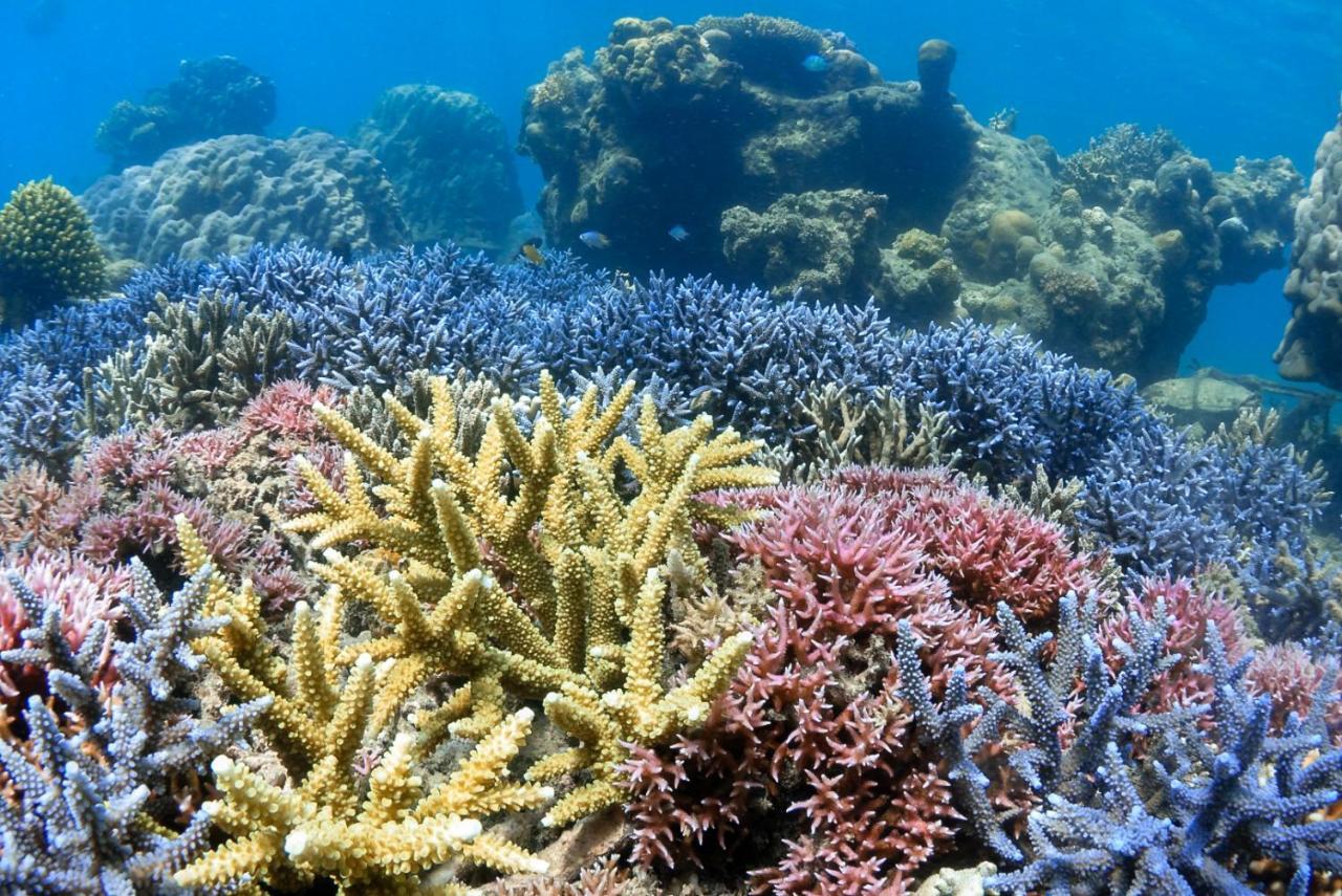 Hotel Alam Karang Gili Gede Exterior foto